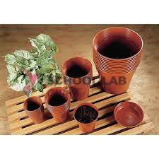 Plant Pots - 75mm - Pack of 10